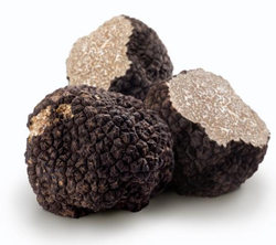 sauce cardinal truffes