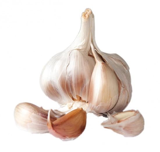 Réussir une Sauce Bien utiliser Ail et Échalote Blog